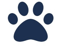 Pets Supplies & Services
